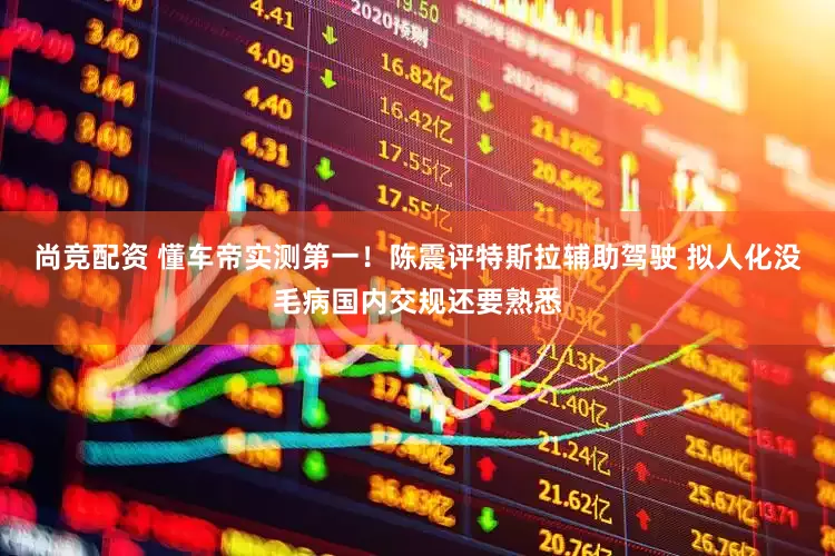 尚竞配资 懂车帝实测第一！陈震评特斯拉辅助驾驶 拟人化没毛病国内交规还要熟悉